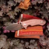 GiantMouse ACE Biblio Red Canvas Micarta Folding Knife, Satin Blade